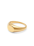 Nialaya Men's Ring Men's Gold Mini Signet Ring